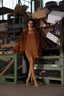 DAISY BRANDY DRESS