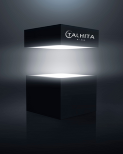 CAJA MISTERIOSA TALHITA